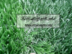 تركيب عشب صناعي الشارقة | 0559066624