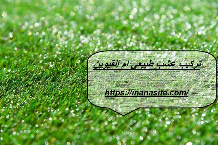 تركيب عشب طبيعي ام القيوين