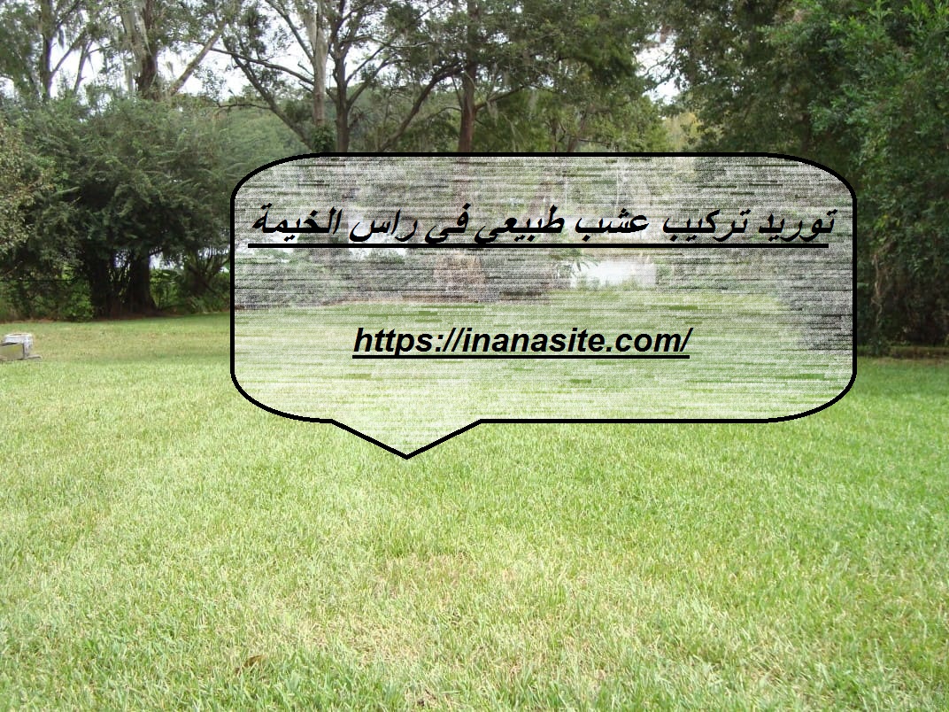 توريد وتركيب عشب طبيعي في راس الخيمة | 0553689103