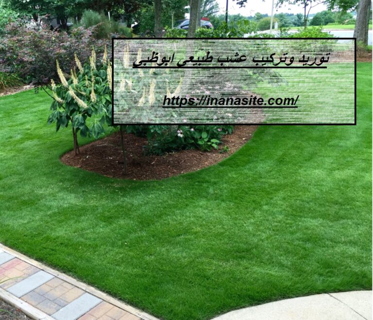 توريد وتركيب عشب طبيعي ابوظبي