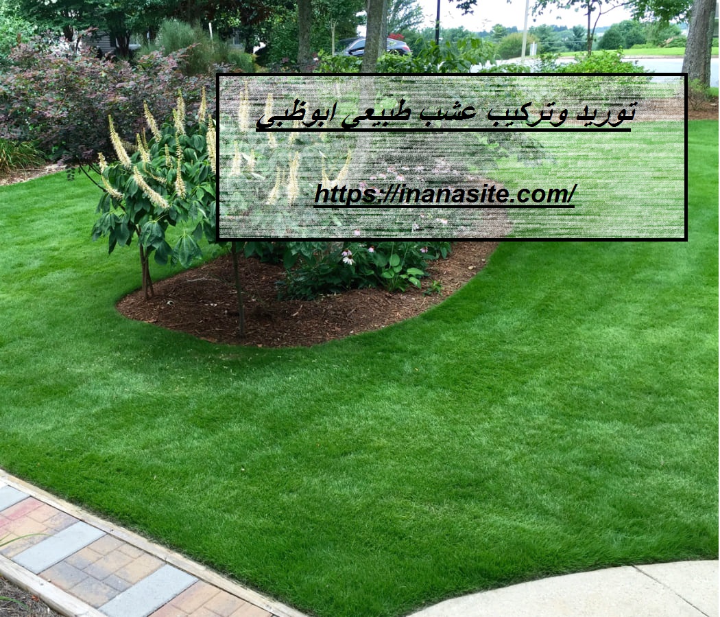 توريد وتركيب عشب طبيعي ابوظبي | 0553689103