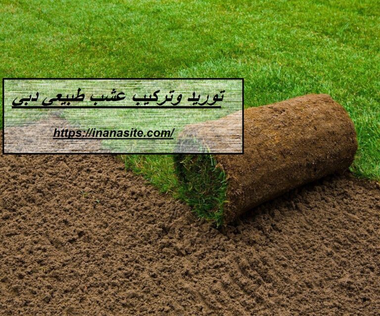 توريد وتركيب عشب طبيعي دبي