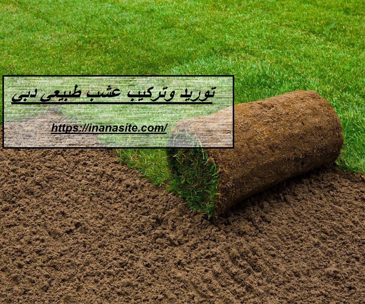 توريد وتركيب عشب طبيعي دبي | 0553689103| تصميم حدائق