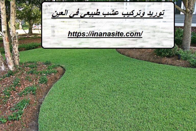 توريد وتركيب عشب طبيعي في العين