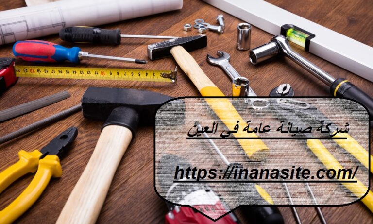شركة صيانة عامة في العين
