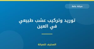 توريد وتركيب عشب طبيعي في العين