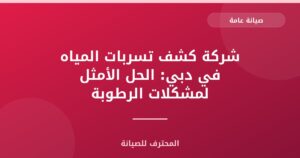 شركة كشف تسربات المياه في دبي: الحل الأمثل لمشكلات الرطوبة